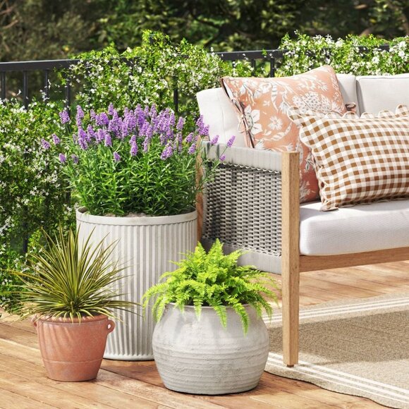 14" Sun Bleached Composite Indoor Outdoor Planter Pot - Threshold Studio McGee - Picture 2 of 7